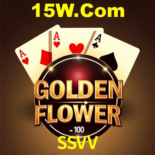 Interface Premium SSVV